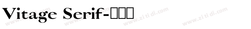 Vitage Serif字体转换